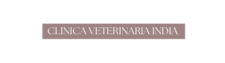 CLINICA VETERINARIA INDIA